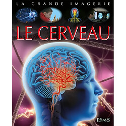 Le cerveau - Occasion