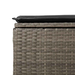 Acheter vidaXL Salon de jardin 2 pcs avec coussins gris résine tressée acacia