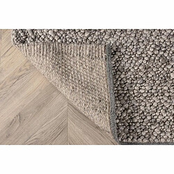 Acheter Venture Home Tapis en viscose et laine gris clair Jajru 350 x 250 cm.