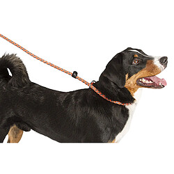 Kerbl Maxi Safe Laisse de Promenade pour Chien Orange Néon 170 cm