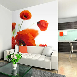 Paris Prix Papier Peint Poppies on the Wihite Background 154 x 200 cm