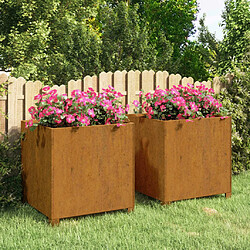 Maison Chic Jardinière,Bac à fleurs - pot de fleurs avec pieds 2 pcs Rouillé 49x47x50 cm Acier corten -GKD10778