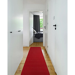 Avis RUGSX TAPIS DE COULOIR ANTIDÉRAPANT RUMBA 1974 Mariage couleur unique bordeaux, rose 80cm 80x500 cm