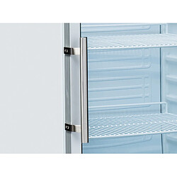 Acheter COOLHEAD Armoire Réfrigérée Positive Inox 600 L - Porte Vitrée - Cool Head