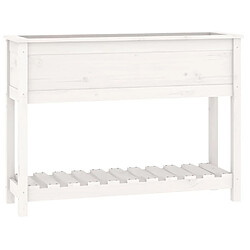 Maison Chic Jardinière,Bac à fleurs - pot de fleur et étagère Blanc 111,5x34,5x81 cm Bois massif de pin -GKD27352