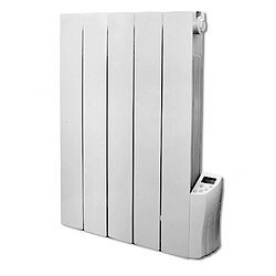 Radiateur inertie fluide 900 W 5 éléments - Warm Tech