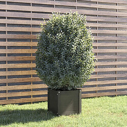 Maison Chic Jardinière,Bac à fleurs - pot de fleur Gris 40x40x40 cm Bois de pin massif -GKD10622