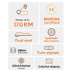 Avis Vélo électrique ENGWE M1,250 W,48 V 15,6 Ah, gros pneu 20 x 4,0 pouces,25 km/h,90 km- Jaune