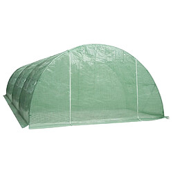 vidaXL Serre 24 m² 6x4x2 m