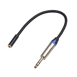 Câble audio Cordon Ligne 6.35mm Mâle à 3.5mm Femelle Connexion TC203NF03