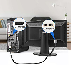 Wewoo Display Port Male to DVI Female Convertisseur 1080P pas cher