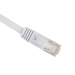 Avis Fil De Cordon De Câble LAN Haute Vitesse RJ45 Internet Ethernet Cat6 10 Mètres