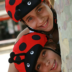 COOLCASC ANIMALS Ladybug