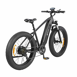 Acheter Vélo Électrique DYU King750 26 Pouces 45km/h - Moteur 750W Batterie 48V20Ah Freins à Disque - Noir