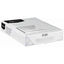 Avis Basics Papier multiusage - 5 rames - 2500 feuilles