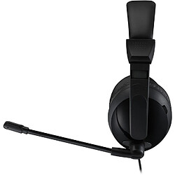 Acheter Adesso XTREAM-H5U, Stereo USB Multimedia Headphone/Headset with Microphone