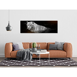 Artgeist Tableau - Shining Tiger (1 Part) Orange Narrow [120x40]