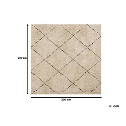 Beliani Tapis épais beige et noir 200 x 200 cm MUTKI