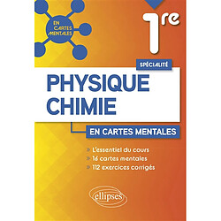 Physique chimie 1re spécialité en cartes mentales - Occasion