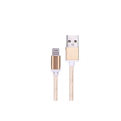 Platyne Cable Usb Vers Lightning 1 Metre