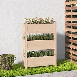 vidaXL Jardinière 77x25x104,5 cm Bois massif de pin