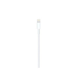 Apple Câble USB Lightning to USB - Occasion