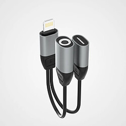 GUPBOO Adaptateur Adaptateur Lightning + Mini Jack 3,5 mm,JL572