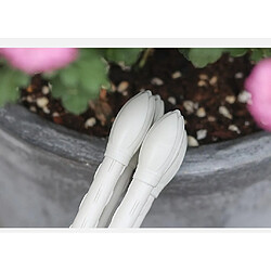 Avis Anneaux De Support Pour Plantes Jardin Treillis Plantes Grimpantes Grow Cage 60cm White