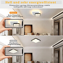 Acheter NETTLIFE Plafonnier LED 3000K 24.5cm 22W Lampe de Couloir Design Moderne Cuisine Lampe Noir pour Chambre Salon