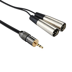 Wewoo Tête en métal de 3,5 mm mâle à la coquille en aluminium 2 x 3 broches XLR CANNON Câble adaptateur audio, longueur totale: environ 25 cm