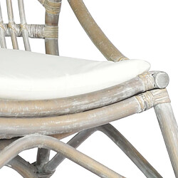 Acheter vidaXL Chaise en rotin Gris Lin