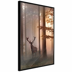 Paris Prix Affiche Murale Encadrée Forest Seclusion 20 x 30 cm Noir