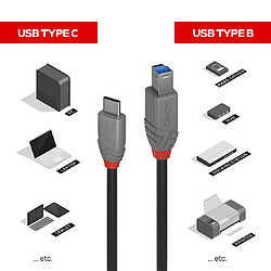 Lindy 36666 câble USB 1 m USB 3.2 Gen 1 (3.1 Gen 1) USB C USB B Noir