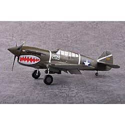 Trumpeter Maquette Avion P-40f War Hawk