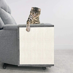 Universal Coussin de sisal, rasoir, protection canapé chat, clous de soutien, canapé rasoir chat coussin anti-rasage rasoir chat | rayures de meubles.