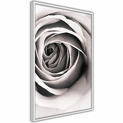 Paris Prix Affiche Murale Encadrée Structure of Petals 20 x 30 cm Blanc