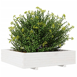 Avis vidaXL Jardinière blanc 100x100x26,5 cm bois de pin massif