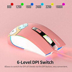 Acheter Universal Souris gaming câblée 16000dpi Gaming/Office Double Mode Mouse Ordinateur portable Ordinateur de bureau Accessoires Mouse (orange)