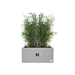 Jardinière rectangle en plastique 80 x 40 cm Elho Vivo gris ciment