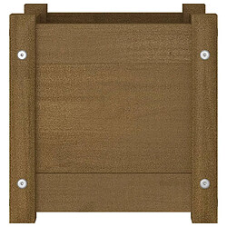 Maison Chic Jardinière,Bac à fleurs - pot de fleurs d'extérieur 2pcs Marron miel 31x31x31cm Bois de pin -GKD60030 pas cher