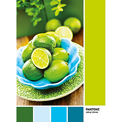 Clementoni- Pantone Collection-Lime Punch-1000 pièces, 39492, Multicolore