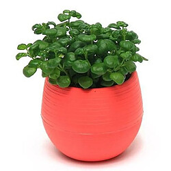 Wewoo Pot de fleur Créative Multi-viande Plantes En Plastique Pots De Élégant Bureau Mini De Fleurs Mini Semis Pépinière Pot, Aléatoire Couleur Livraison pas cher