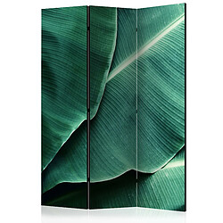 Artgeist Paravent - Banana Leaf [Room Dividers] [135x172]