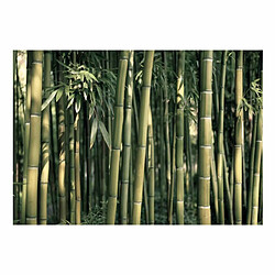 Paris Prix Papier Peint Bamboo Exotic 105 x 150 cm