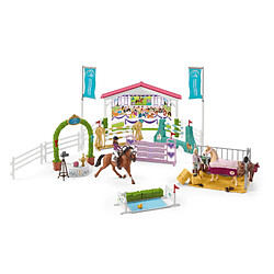 Schleich Friendship Competition 42440