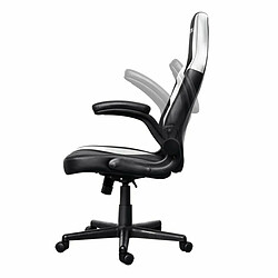 Acheter Chaise de jeu Trust GXT 703W RIYE Noir/Blanc