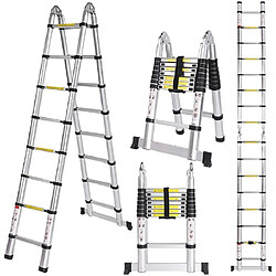 Échelle Télescopique Pliante, Charge Maximale : 150 kg - 5m (2.5M+2.5M)