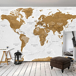 Artgeist Papier peint - World Map: White Oceans [100x70]