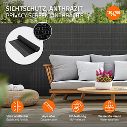 Ecd Germany Canisse anthracite PVC 120x700cm clôture brise-vue pour balcon terrasse jardin