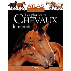 Les plus beaux chevaux du monde